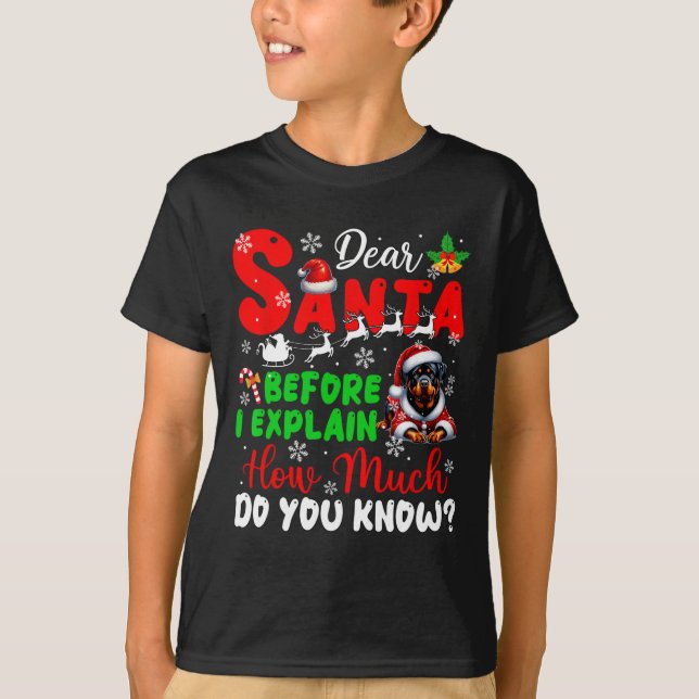 Before I Explain How Much You Know Xmas Rottweiler T-Shirt (Front)