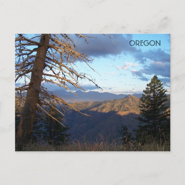 Before it's Hotter Than... Postcard (Front)