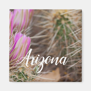 Before the blooms, Arizona Magnet