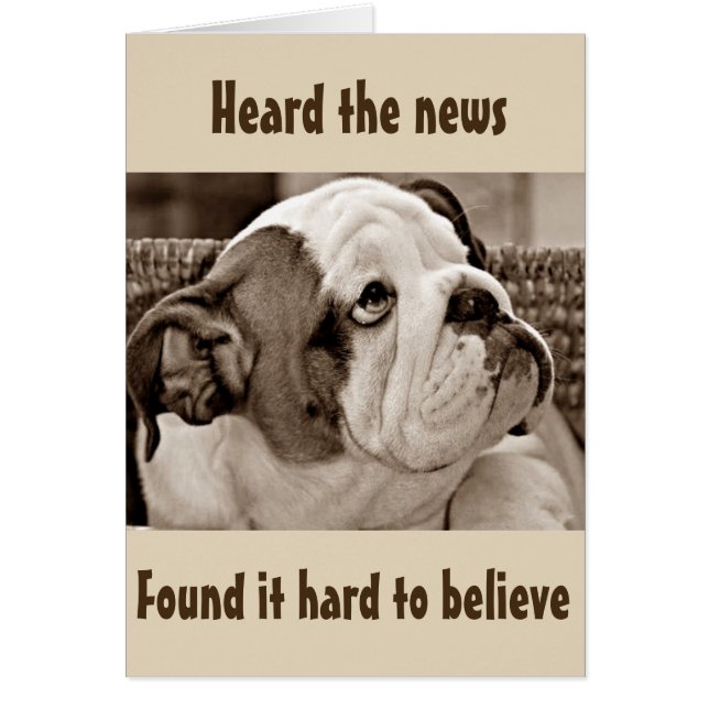 **BEFUDDLED BULL DOG** CAN'T BELIEVE YOU'RE **50** (Front)