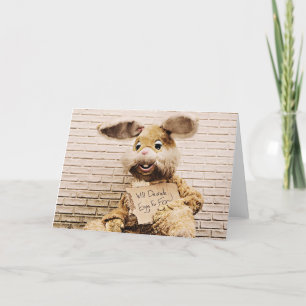 Beggar Bunny, Funny Easter Rabbit Card