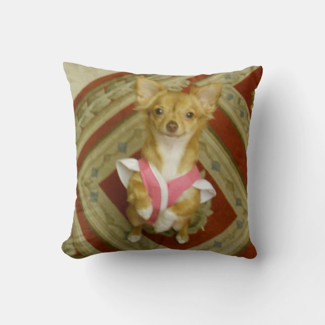 begging chihuahua cotton pillow (Front)