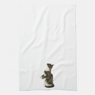 Begging Grey & White CAt Tea Towel