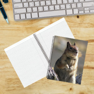 Begging Ground Squirrel Photo Notebook