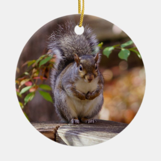 Begging Squirrel Ceramic Tree Decoration (Front)