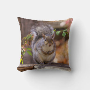 Begging Squirrel Cushion