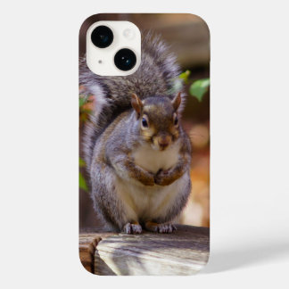Begging Squirrel iPhone Case