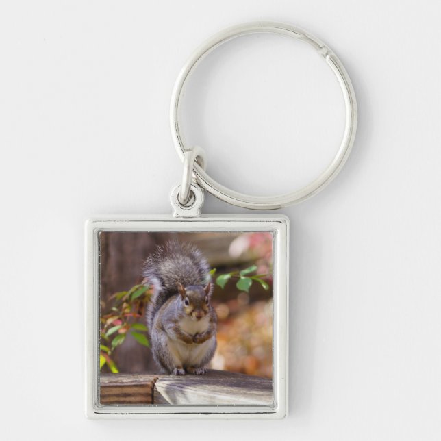 Begging Squirrel Key Ring (Front)