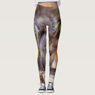 Begging Squirrel Leggings
