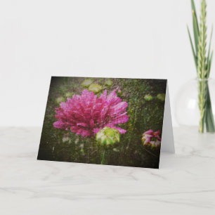 Beginning Again Greeting Card