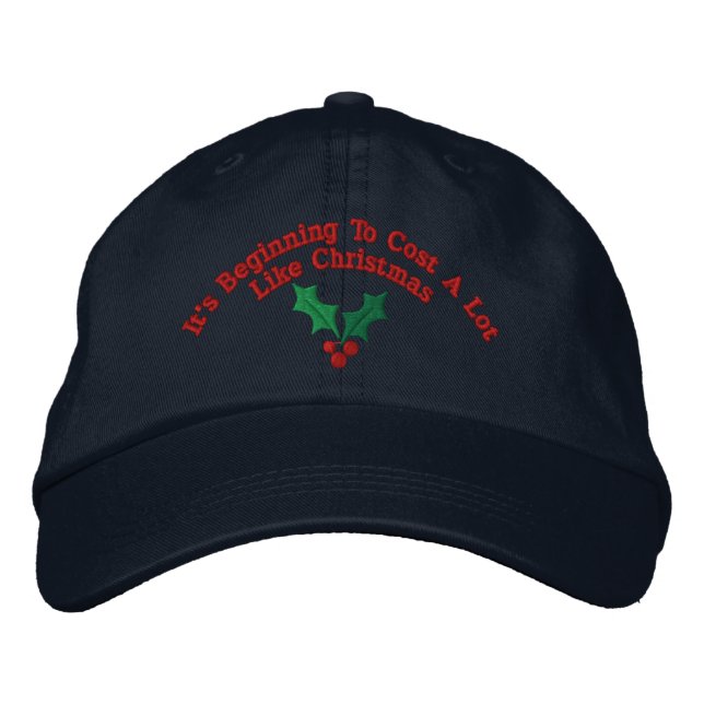 Beginning To Cost A Lot Embroidered Hat (Front)