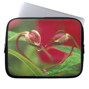 Begonia Buds in heart shape with drops . Credit Laptop Sleeve
