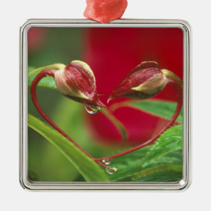 Begonia Buds in heart shape with drops . Credit Metal Tree Decoration