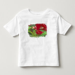 Begonia Buds in heart shape with drops . Credit Toddler T-Shirt