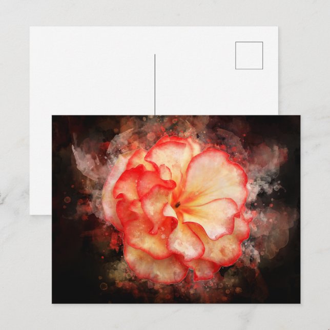 Begonia flower watercolor - bb3 postcard (Front/Back)