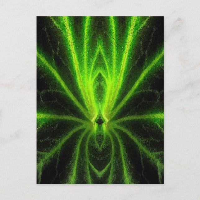 Begonia Leaf Abstract Postcard (Front)