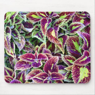 Begonia Leaves Mouse Pad