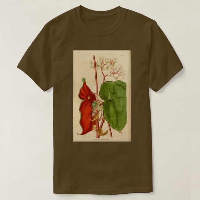 Begonia sanguinea T-Shirt (Design Front)