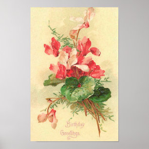 Begonia Vintage Birthday Greetings Poster