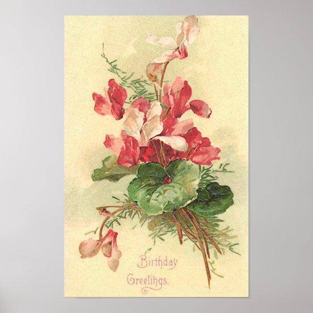 Begonia Vintage Birthday Greetings Poster (Front)