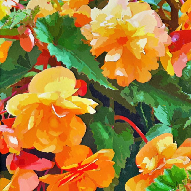 BEGONIAS CARD (Creator Uploaded)