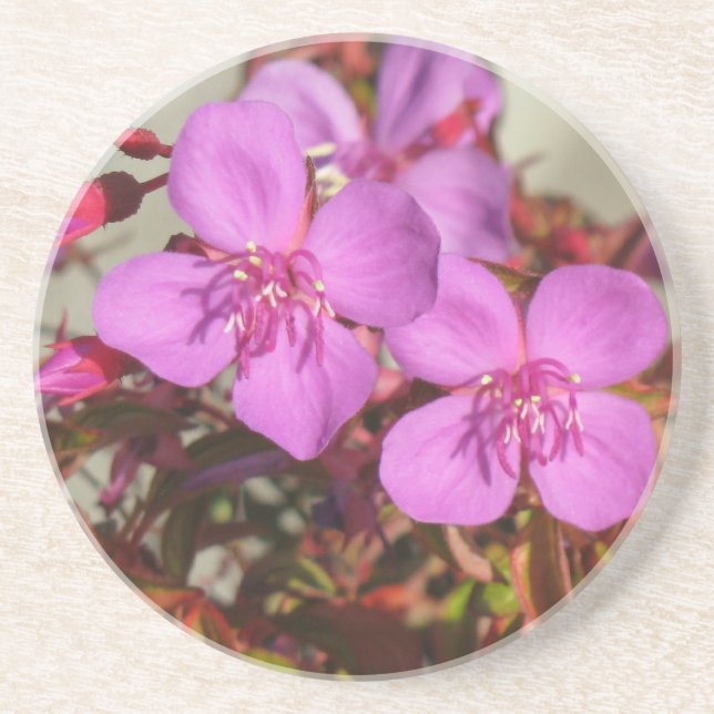 Begonias coaster (Front)