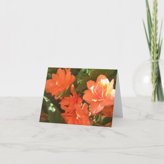 Begonias Note Cards (Front)