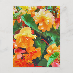 BEGONIAS POSTCARD