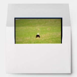 Behind A Bald Eagle Greeting Card Envelope