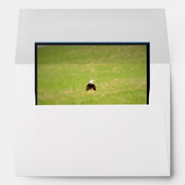 Behind A Bald Eagle Greeting Card Envelope (Back (Bottom))