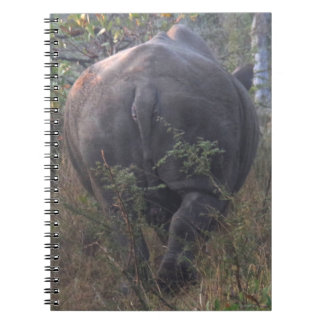 Behind a Rhino Notebook