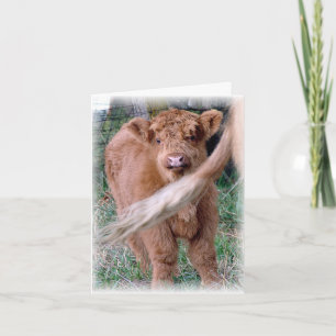 behind mama's tail card