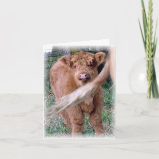 behind mama's tail card