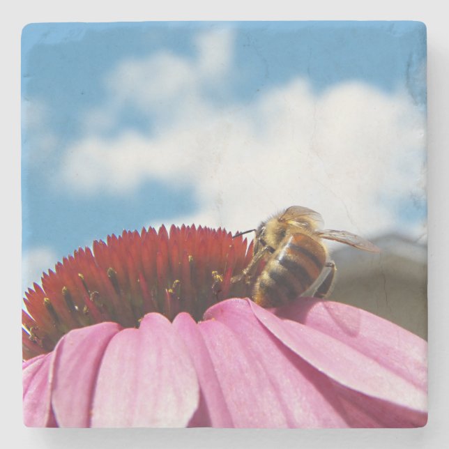 Behind the Bee Stone Coaster (Front)