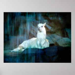 Behind the Falls Poster