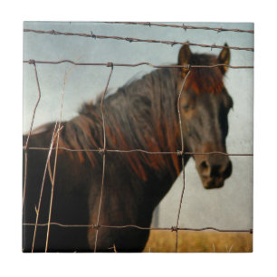 Behind the fence, abstract horse tile
