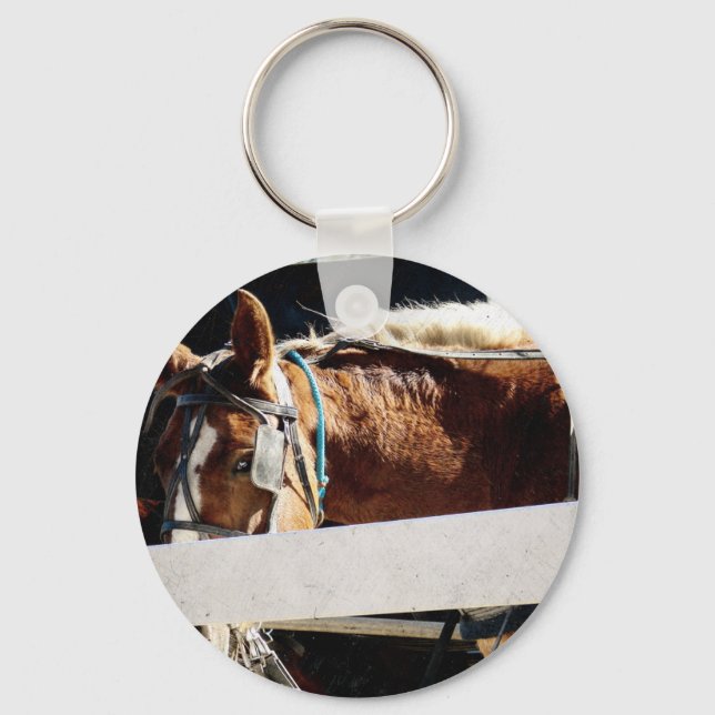 Behind the Fence Amish Horse Key Ring (Front)