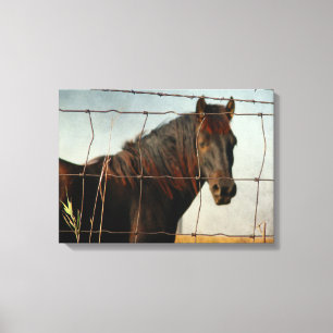 Behind the Fence Canvas Print