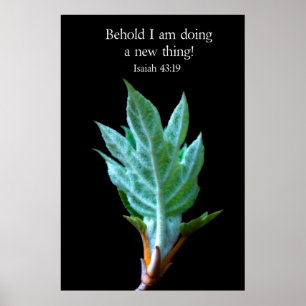 Behold I am doing a new thing Poster