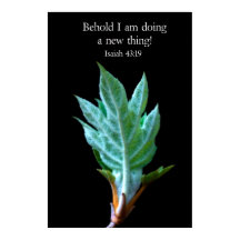 Behold I am doing new thing