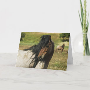 Behold the Beauty Card