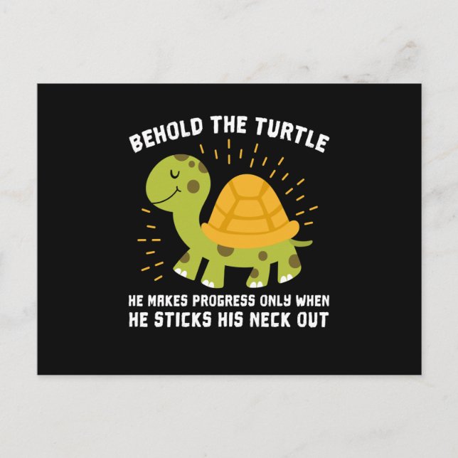 Behold The Turtle Turtles Postcard (Front)