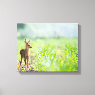 beige baby deer on brown soil between green grasse canvas print