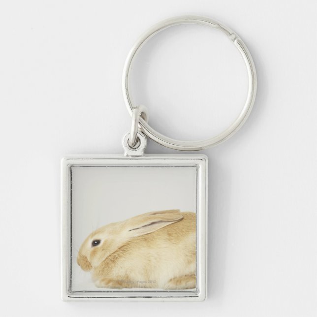 Beige bunny rabbit on white background 4 key ring (Front)