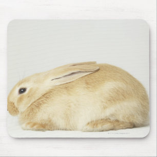Beige bunny rabbit on white background 4 mouse pad