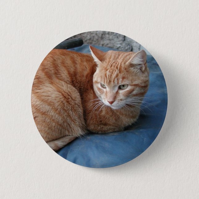 Beige Cat 6 Cm Round Badge (Front)