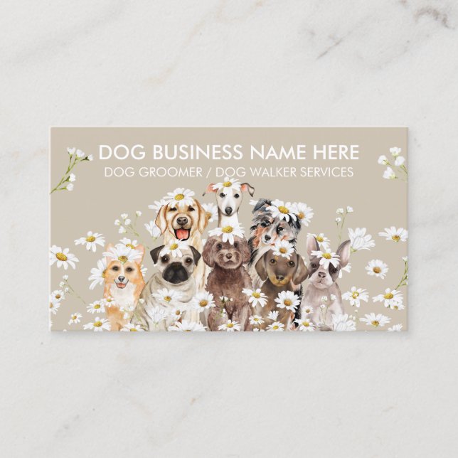 Beige Daisy Flowers Pet Sitter Walker dog petcare Business Card (Front)