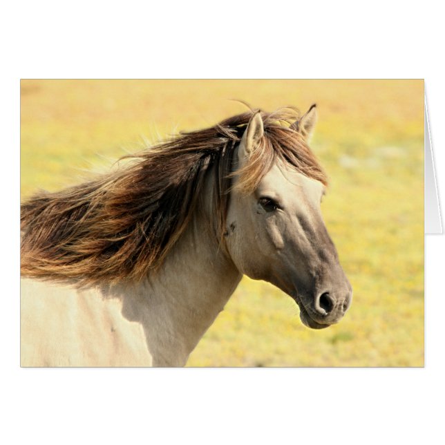 Beige Horse Profile (Front Horizontal)
