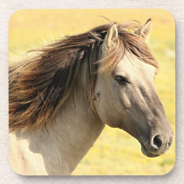 Beige Horse Profile Coaster (Front)