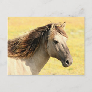 Beige Horse Profile Postcard